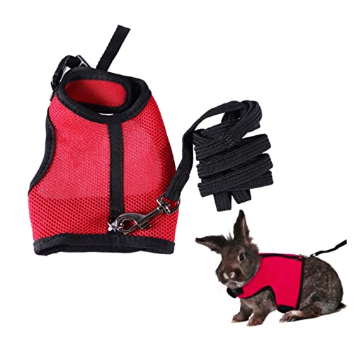 FRCOLOR Laufleine Für Haustiere Hund Läuft An Der Leine Wandergeschirr Für Haustiere Fluchtsichere Haustierleine Trainingsgeschirr Für Welpen Spielzeuggurte Kätzchen Kaninchen Liefert FRCOLOR Laufleine Für Haustiere Hund Läuft An Der Leine Wandergeschirr Für Haustiere Fluchtsichere Haustierleine Trainingsgeschirr Für Welpen Spielzeuggurte Kätzchen Kaninchen Liefert von FRCOLOR