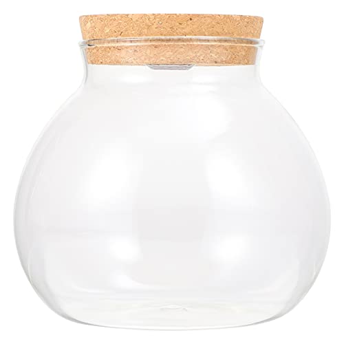 FRCOLOR Led Glasflasche Mit Korkdeckel, DIY Micro-Landschaftsflasche Mit Weißem Licht, Terrarium Für Wohnzimmer, Schlafzimmer Und Büro FRCOLOR Led Glasflasche Mit Korkdeckel, DIY Micro-Landschaftsflasche Mit Weißem Licht, Terrarium Für Wohnzimmer, Schlafzimmer Und Büro von FRCOLOR