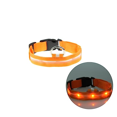 FRCOLOR LED-Leuchthalsband für Haustiere Nylon-Halsband für Haustiere Rundes Haustierhalsband mit Anhänger LED-Haustierhalsband blinkendes Haustierhalsband beleuchteter Kragen Blitz von FRCOLOR