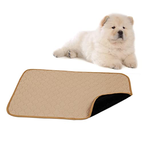 FRCOLOR Pet Pee Pads Hunde-PIPI-pad Haustier-PIPI-pad Wiederverwendbare Hundepipimatte Hund Katze Pee Pad Trainingsunterlage Für Welpen Decke Verdicken von FRCOLOR