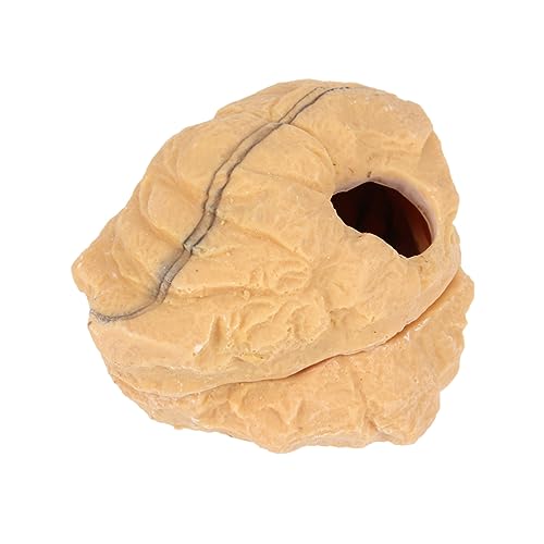 FRCOLOR Reptilien Sonnenplattform Vogelspinne Versteck Schlangenversteck Für Königspythons Aquarium Versteck Zubehör Für Leopardgecko Einsiedlerkrebs Kletterspielzeug Geschmücktes FRCOLOR Reptilien Sonnenplattform Vogelspinne Versteck Schlangenversteck Für Königspythons Aquarium Versteck Zubehör Für Leopardgecko Einsiedlerkrebs Kletterspielzeug Geschmücktes von FRCOLOR