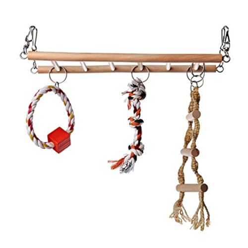 FRCOLOR Hamster Hängende Brücke Treppe Spielzeug Für Kleintiere Sicheres Für Hamster Wellensittiche Nymphensittiche Fördert Balance Und Koordination Zufällige Farben FRCOLOR Hamster Hängende Brücke Treppe Spielzeug Für Kleintiere Sicheres Für Hamster Wellensittiche Nymphensittiche Fördert Balance Und Koordination Zufällige Farben von FRCOLOR