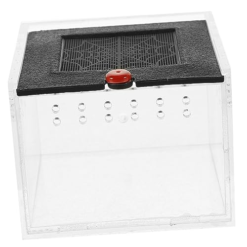 FRCOLOR Tarantel-Gehäusetank Lebensraum Springspinnen Träger Gecko Terrarium Easy putz Insektenterrarium Transparentes Sicht-Reptilienbecken Zaungürtel Futter Eidechse Tier von FRCOLOR