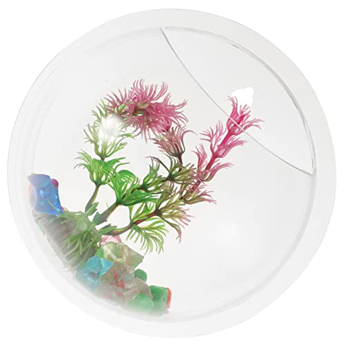FRCOLOR Wandmontiertes Aquarium Aus Acryl Im Vintage-Stil Für Kampffische Pflanzen- Und Blumenarrangements Zufälliger Stil von FRCOLOR