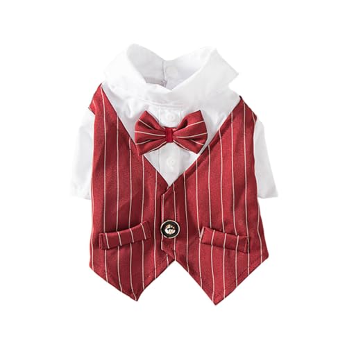 FRCOLOR Eleganter Hundekostüm Anzug, Haustierkleidung Für Hunde Und Katzen, FrüHling Sommer Mantel, Größe M FRCOLOR Eleganter Hundekostüm Anzug, Haustierkleidung Für Hunde Und Katzen, FrüHling Sommer Mantel, Größe M von FRCOLOR