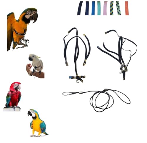 Bruststück für Papageien aus Paracord, verstellbar, groß, Kakadua, Ara, Hals, schwarz, elastisches Band, 10 mm, Schnallen aus Kunststoff oder Metall, Leine 3 mm, schwarz, 1 m von FREEPARROT