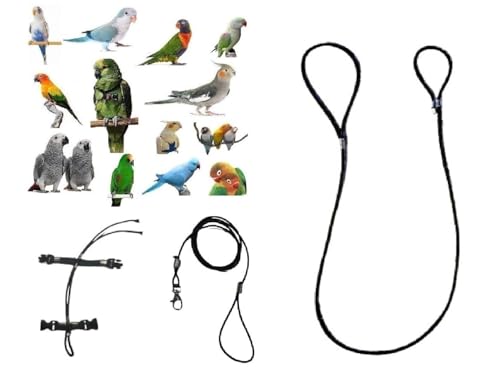 Elastische Beinschlaufe und Kämmchen, verstellbar, Größe von Kokorit bis Amazonas, Kragen 3 mm, elastisch und Band 10 mm, 2 Schnallen 3 mm, schwarz, 1 m von FREEPARROT