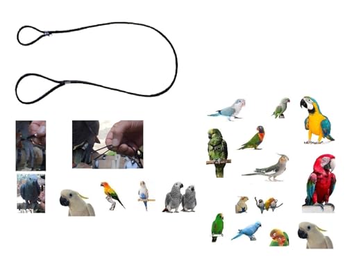Elastische Leine 3 oder 4 mm x 1 m zum Einführen in die Pfote Ihres Papageiens, für alle Rassen von FREEPARROT