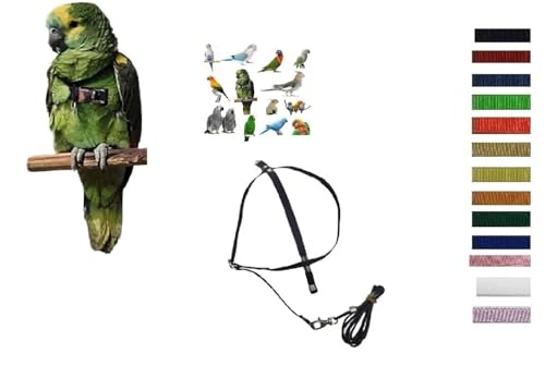 Klassischer Papageien-Hals, verstellbar, mittlere Größe, elastisch, 10 mm, Hals 10 mm, immer schwarze Bänder, Leine 3 mm, 1 Meter (dunkelgrün, schwarzer Hals) von FREEPARROT