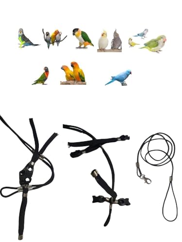 PAPPAGALLI KLEINE GRÖSSE von Kokorit bis Sittich Komfortbänder elastisches Band 6 mm Hals 3 mm 2 verstellbare Kunststoffbefestigungen Leine 3 mm schwarz 1 m von FREEPARROT