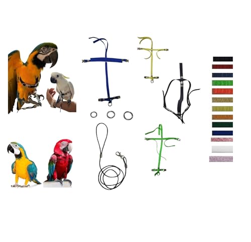 Verstellbares Band und Patronenkamm, groß, elastisch, 10 mm, Schnallen aus Kunststoff oder Metall, 3 mm, schwarz, 1 m und 3 Ringe für Pfotenleine Verstellbares Band und Patronenkamm, groß, elastisch, 10 mm, Schnallen aus Kunststoff oder Metall, 3 mm, schwarz, 1 m und 3 Ringe für Pfotenleine von FREEPARROT