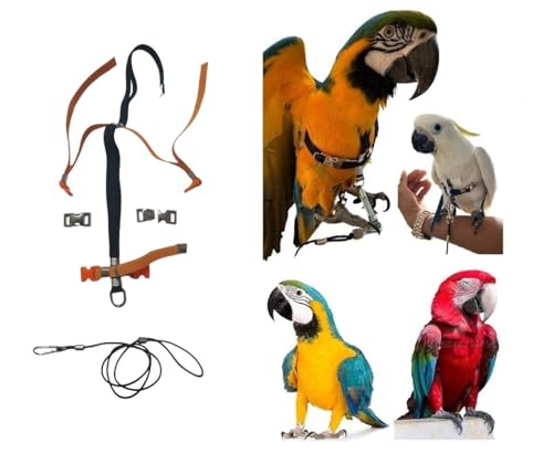 Verstellbares Bruststück für Papageien, Größe Ara oder Kakadu, elastisch, 10 mm, 2 verstellbare Stahlverbindungen, schwarzer Hals, Leine 3 mm, schwarz PR (Orange Kunststoff-Schnallen) von FREEPARROT