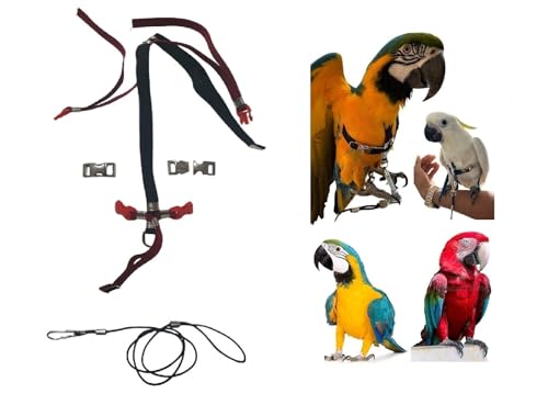 Verstellbares Bruststück für Papageien, Größe Ara oder Kakadu, elastisch, 10 mm, 2 verstellbare Stahlverbindungen, schwarzer Hals, Leine 3 mm, schwarz PR (rote Schnallen aus Metall) von FREEPARROT
