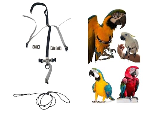 Verstellbares Bruststück für Papageien, Größe Ara oder Kakadu, elastisch, 10 mm, 2 verstellbare Stahlverbindungen, schwarzer Hals, Leine 3 mm, schwarz PR (weiße Metallschnallen) von FREEPARROT