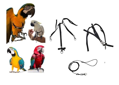 Verstellbares Halsband für Papageien, Größe Ara, Kakadua, elastisch, 10 mm, Hals, immer schwarz, farbige Bänder, 2 Haken aus Metall, Leine 3 mm, 1 m (schwarzer Hals, gelbe Streifen) von FREEPARROT