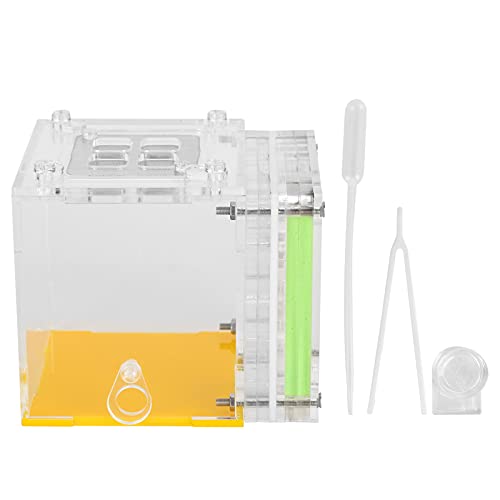 Acrylic Colony Observation Unit | High Definition Growth Chamber for Young Learners | Educational Ecosystem Toy with Water Retention Feeding Area | Protected Design & Airflow Acrylic Colony Observation Unit | High Definition Growth Chamber for Young Learners | Educational Ecosystem Toy with Water Retention Feeding Area | Protected Design & Airflow von FRELEAN