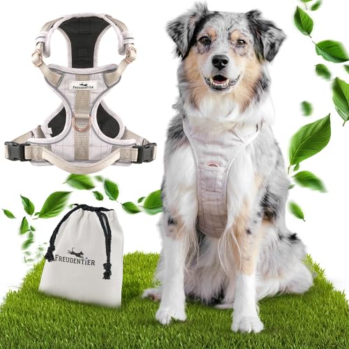 FREUDENTIER® Hundegeschirr mit atmungsaktiver Polsterung - Bombenfester Sitz - Anti Zieh Brustgeschirr für große, mittelgroße und kleine Hunde (XL) von FREUDENTIER