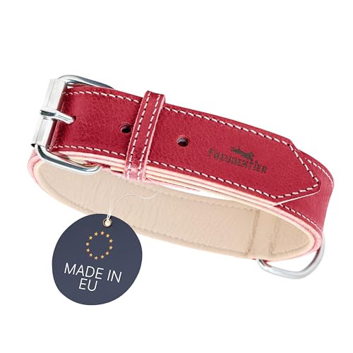 FREUDENTIER® Hundehalsband Leder, gefüttert & komfortabel, hochwertiges breites Lederhalsband aus Vollnarbenleder, Amstelpark Kollektion in Spicy Red (25.5cm-33.5cm Halsumfang, Rot) von FREUDENTIER