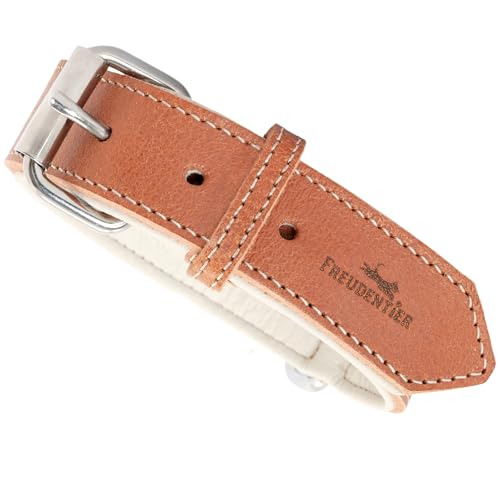 FREUDENTIER Hundehalsband aus Leder, Made in Holland, gefüttert & super komfortabel, hochwertiges breites Lederhalsband aus Vollnarbenleder, Model “Amstelpark” (21-29cm Halsumfang, Cognac) von FREUDENTIER