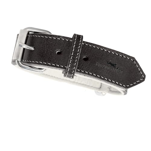 FREUDENTIER® Hundehalsband aus Leder, Made in Holland, gefüttert & super komfortabel, hochwertiges breites Lederhalsband aus Vollnarbenleder, Model “Amstelpark” (Midnight, 42-52cm Halsumfang) von FREUDENTIER