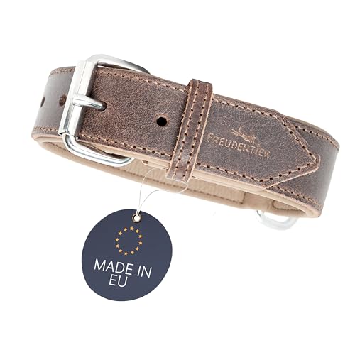 FREUDENTIER Hundehalsband aus zertifiziertem Leder - Gepolstert & super komfortabel - Made in Holland - Hunde Halsband inkl. Geschenksäckchen - Amstelpark Kollektion (51.5-61.5cm, Dark Chocolate) von FREUDENTIER
