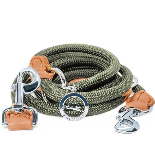 FREUDENTIER Hundeleine 2m - Führleine 3-Fach verstellbar - Robustes Nylon abgerundet mit stilvollen braunen Lederelementen - Leine Hund für mittelgroße & große Hunde (waldgrün) von FREUDENTIER