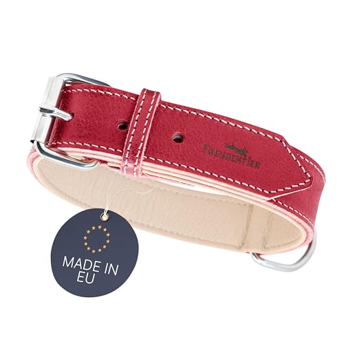 FREUDENTIER Hundehalsband Leder, gefüttert & komfortabel, hochwertiges breites Lederhalsband aus Vollnarbenleder, Amstelpark Kollektion in Spicy Red (51.5-61.5cm Halsumfang, Rot) von FREUDENTIER