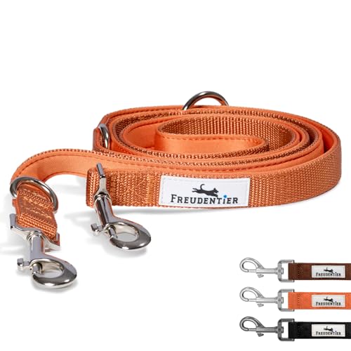 FREUDENTIER Hundeleine 2m – Verstellbare Führleine - Weich gepolstert, liegt angenehm in der Hand - Robuste Leine Hund für mittelgroße & große Hunde - Model Clyde (Orange, 2m Länge / 25mm Breite) von FREUDENTIER