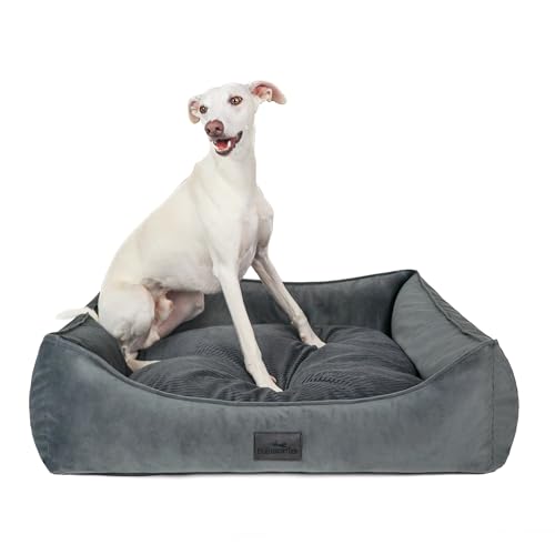 FREUDENTIER Orthopädisches Hundebett aus Cord/Velour Mix - Waschbar - Made in Europe - 3 Größen für kleine, mittelgroße & Grosse Hunde (Anthrazit, M) von FREUDENTIER