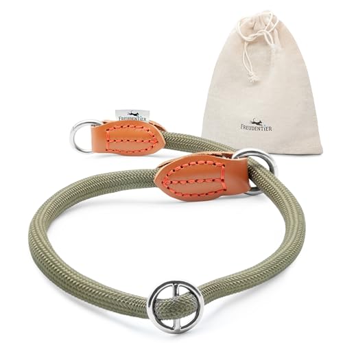FREUDENTIER Zugstopp Halsband Hunde - Retriever Halsband - Hundehalsband Zugstopp für kleine, mittelgroße & große Hunde (Waldgrün, M/L) von FREUDENTIER