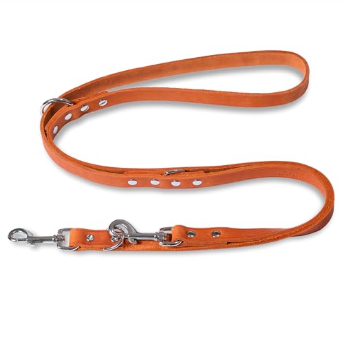 FREUDENTIER Hundeleine Leder 2m - Lederleine verstellbar - Führleine aus zertifiziertem Fettleder für kleine, mittelgroße & große Hunde - Alsterufer Kollektion (Sunset Orange, 12mm breit) von FREUDENTIER