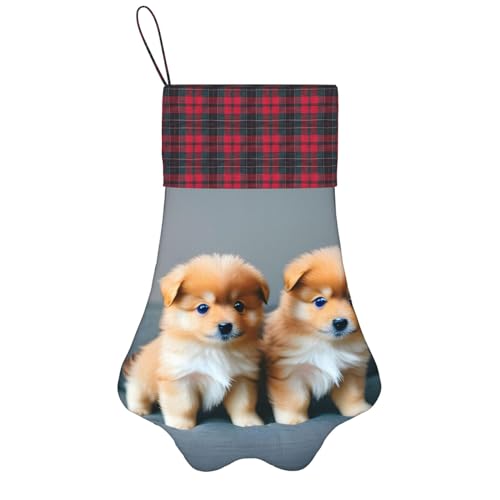 Personalisierter Hunde-Weihnachtsstrumpf mit Aufhängegurt - Vintage und warme Urlaubsdekoration Pommersche Welpen und Punkt 1 Personalisierter Hunde-Weihnachtsstrumpf mit Aufhängegurt - Vintage und warme Urlaubsdekoration Pommersche Welpen und Punkt 1 von FRGMNT