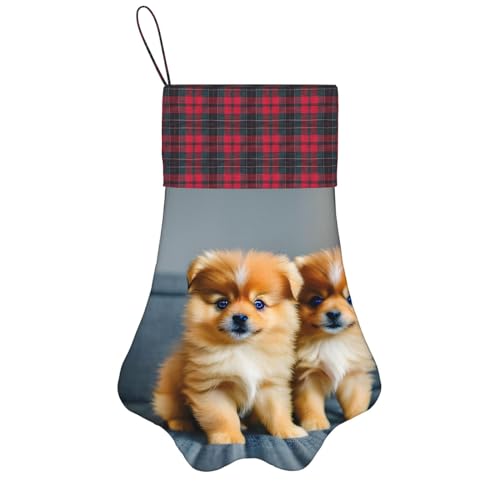 Personalisierter Weihnachtsstrumpf für Hunde mit Aufhängegurt – Vintage und warme Urlaubsdekoration Pommersche Welpen und Punkt Personalisierter Weihnachtsstrumpf für Hunde mit Aufhängegurt – Vintage und warme Urlaubsdekoration Pommersche Welpen und Punkt von FRGMNT