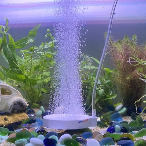 FRIRODSAY Nano-Luftstein für Aquarien, Diffusor mit hohem gelöstem Sauerstoff, 10,2 cm, leiser Aquarium-Bubbler für Aquarien und Hydrokulturen FRIRODSAY Nano-Luftstein für Aquarien, Diffusor mit hohem gelöstem Sauerstoff, 10,2 cm, leiser Aquarium-Bubbler für Aquarien und Hydrokulturen von FRIRODSAY