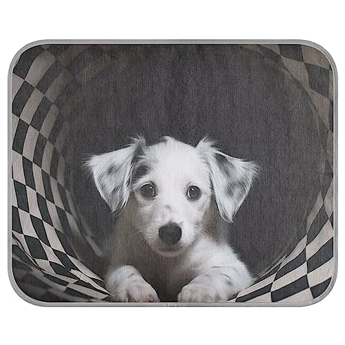 FRODOTGV Black and White Swirl White Puppy Cooling Sleeping Pad for Dogs/Cats, Dog Crate Pad Reusable Dogs Pets Ice Cool Pads Cooling Mat, Small FRODOTGV Black and White Swirl White Puppy Cooling Sleeping Pad for Dogs/Cats, Dog Crate Pad Reusable Dogs Pets Ice Cool Pads Cooling Mat, Small von FRODOTGV