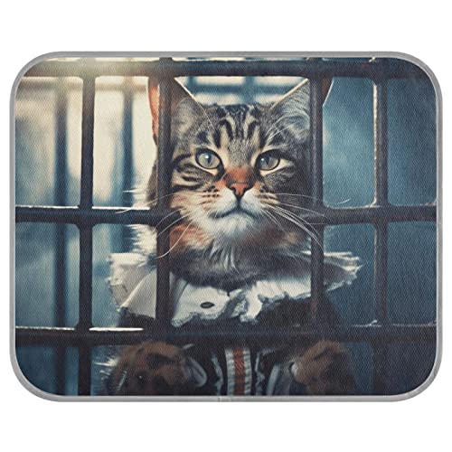 FRODOTGV Cat Judge Locked Up Cool Bed Mats Summer Reusable Pet Cool Blanket Dogs Pets Dog Crate Pad Ice Cool Pads, Medium von FRODOTGV