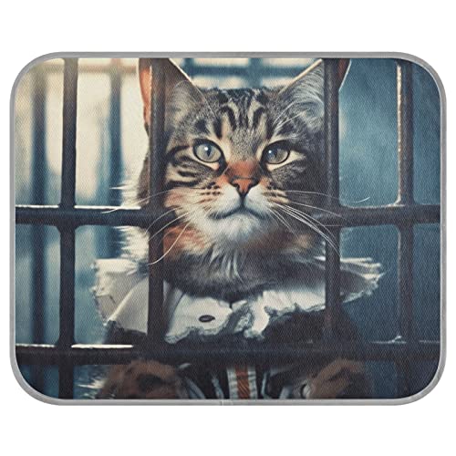 FRODOTGV Cat Judge Locked Up Kühlende Isomatte für Hunde/Katzen, coole Bettmatten, atmungsaktiv, Tiere, Katzen, Eiskühlkissen, Hundekäfig-Pad, Größe S von FRODOTGV