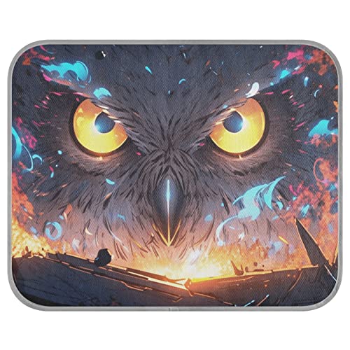 FRODOTGV Ferocious Owl Broken Wall Cooling Sleeping Pad Summer Breathable Cooling Mat Pets Zwinger Dog Crate Pad Pet Cool Blanket,Small von FRODOTGV