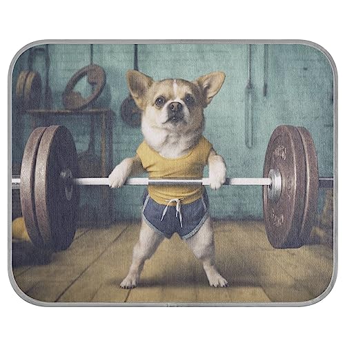FRODOTGV Hercules Puppy Lifting Weights in Gym Pet Cool Blanket for Cats, Animals, Dogs, Summer Cooling Mat Breathable Ice Cool Pads, Small von FRODOTGV