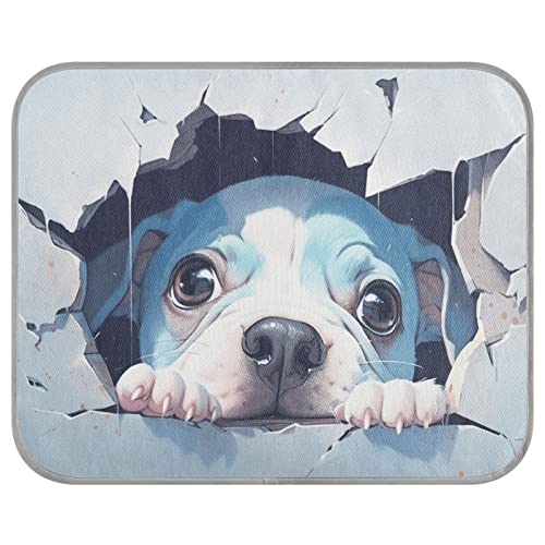 FRODOTGV Kühlende Schlafmatte für Haustiere, Hundehütten, Tiere, Sommerdecke, waschbar, Eiskühlkissen, Größe M, Blau FRODOTGV Kühlende Schlafmatte für Haustiere, Hundehütten, Tiere, Sommerdecke, waschbar, Eiskühlkissen, Größe M, Blau von FRODOTGV