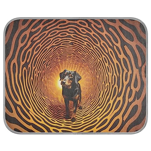 FRODOTGV Kühlende Schlafmatte für Tiere, Zwinger, Haustiere, Sommer-kühle Bettmatten, wiederverwendbare Haustier-Kühldecke, Größe S, Schwarz / Orange FRODOTGV Kühlende Schlafmatte für Tiere, Zwinger, Haustiere, Sommer-kühle Bettmatten, wiederverwendbare Haustier-Kühldecke, Größe S, Schwarz / Orange von FRODOTGV