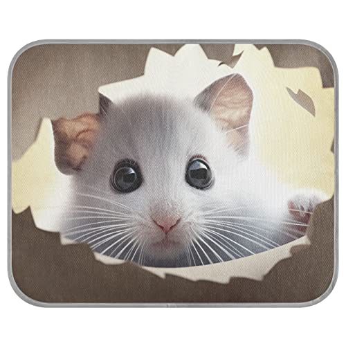 FRODOTGV Kühlmatte für Haustiere, Katzen, Hunde, niedliche Maus hinter der Wand, kühlende Schlafmatte, waschbar, Größe S FRODOTGV Kühlmatte für Haustiere, Katzen, Hunde, niedliche Maus hinter der Wand, kühlende Schlafmatte, waschbar, Größe S von FRODOTGV