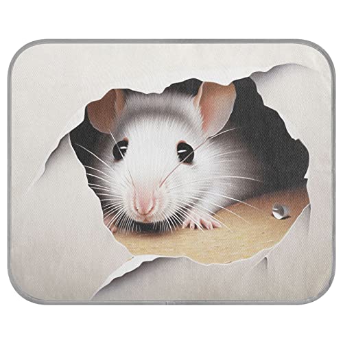 FRODOTGV The Cute Mouse Behind The Broken Wall Ice Cool Pads für Hunde/Katzen, Hundekäfig-Pad, waschbar, für Hunde und Katzen, coole Bettmatten, Haustier-coole Decke, Größe M FRODOTGV The Cute Mouse Behind The Broken Wall Ice Cool Pads für Hunde/Katzen, Hundekäfig-Pad, waschbar, für Hunde und Katzen, coole Bettmatten, Haustier-coole Decke, Größe M von FRODOTGV