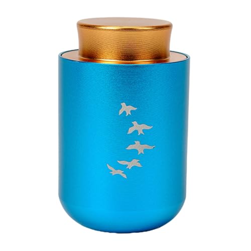 Einfache Asche, Urne, Gedenkschmuck, Einäscherungsbox, Metallglas, Einäscherungsschmuck, Urne für Asche, Haustierbehälter, Edelstahl Einfache Asche, Urne, Gedenkschmuck, Einäscherungsbox, Metallglas, Einäscherungsschmuck, Urne für Asche, Haustierbehälter, Edelstahl von FROMCEO