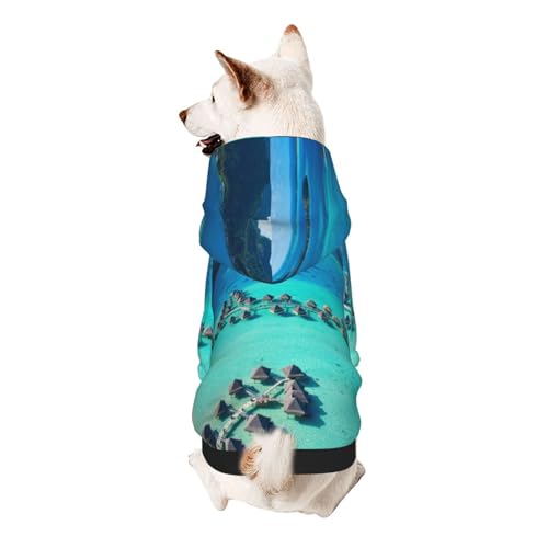 Froon Beauty Beach Haustierbekleidung – Kapuzen-Sweatshirt für kleine Haustiere, bezaubernde und warme Haustierkleidung, für Ihr Haustier von FROON