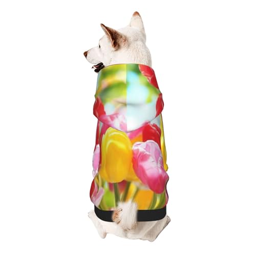 Froon Bunte Tulpen Haustierbekleidung – Kapuzen-Sweatshirt für kleine Haustiere, bezaubernde und warme Haustierkleidung, für Ihr Haustier von FROON