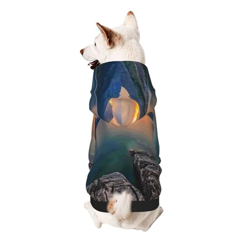 Froon Glacier National Park Haustierbekleidung – Kapuzen-Sweatshirt für kleine Haustiere, bezaubernde und warme Haustierkleidung, für Ihr Haustier von FROON