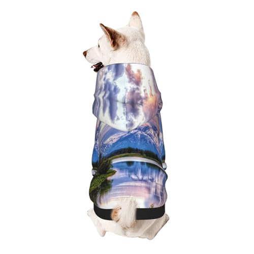 Froon Grand Teton National Park Haustierbekleidung – Kapuzen-Sweatshirt für kleine Haustiere, bezaubernde und warme Haustierkleidung, für Ihr Haustier von FROON