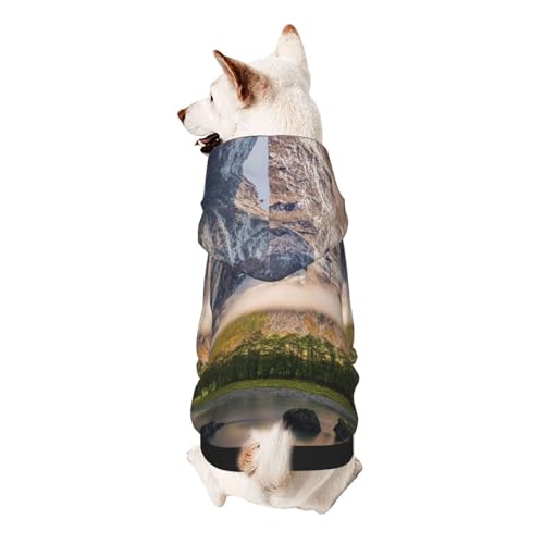 Froon Haustierbekleidung für kleine Haustiere mit Kapuze, bezaubernde und warme Haustierkleidung, für Ihr Haustier Froon Haustierbekleidung für kleine Haustiere mit Kapuze, bezaubernde und warme Haustierkleidung, für Ihr Haustier von FROON