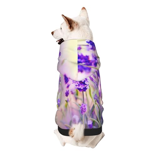 Froon Haustierbekleidung mit Lavendelblüten – Kapuzen-Sweatshirt für kleine Haustiere, bezaubernde und warme Haustierkleidung, für Ihr Haustier von FROON
